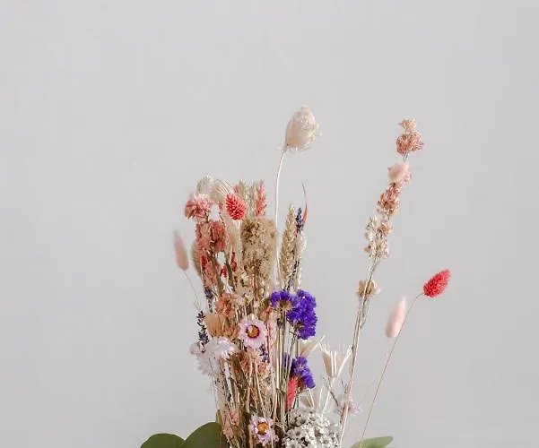 Redcliffe Parade No 9 I Centre