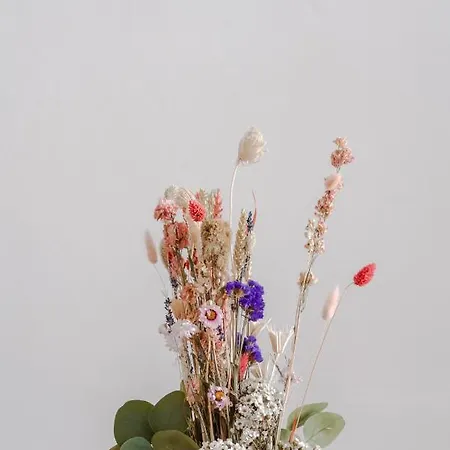 Redcliffe Parade No 9 I Centre